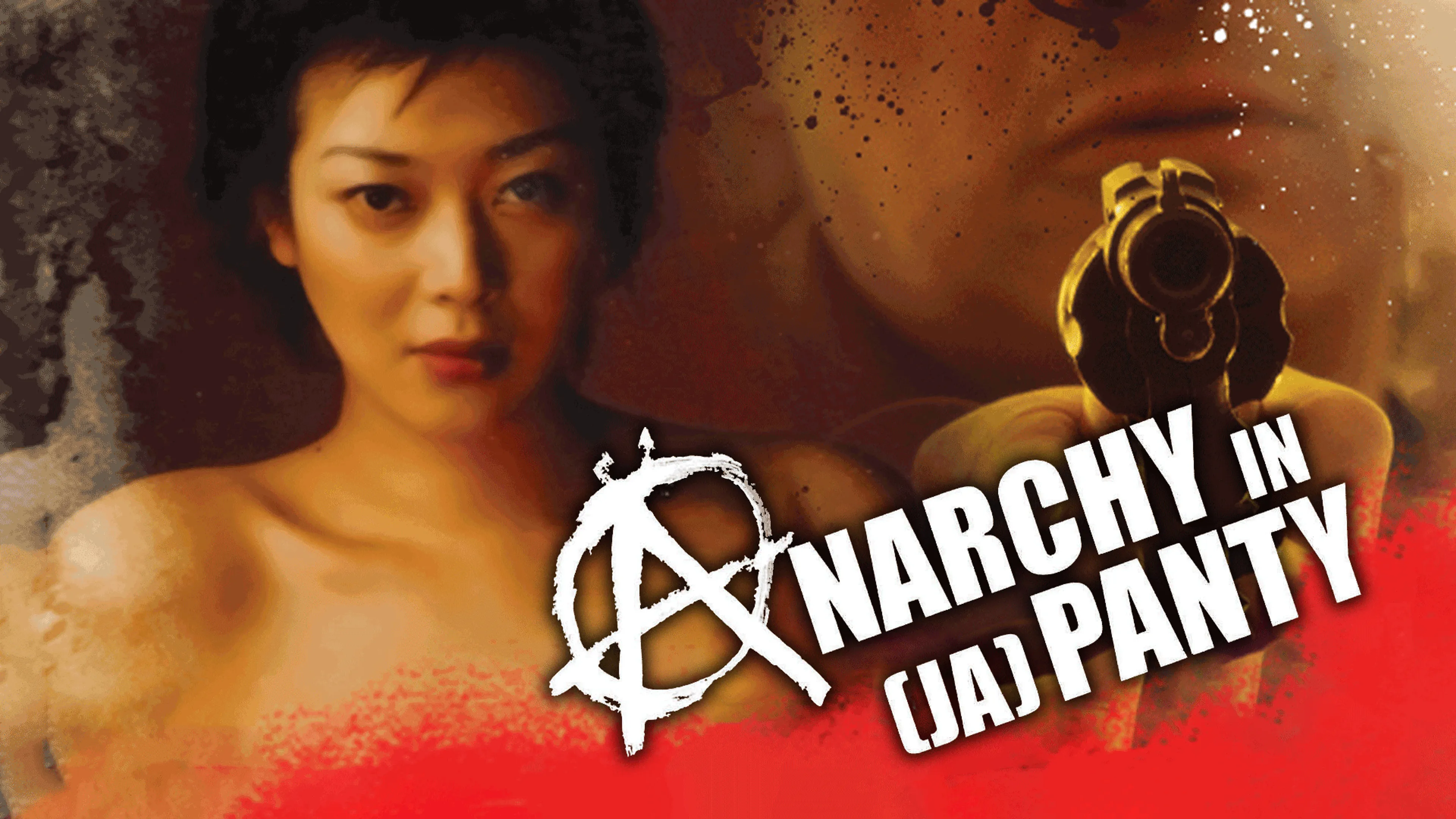 Anarchy in [Ja]Panty poster